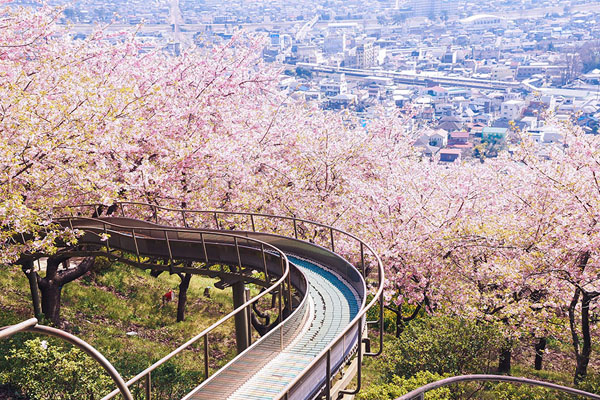 　　日本留学专业热门的有哪些?留学强势专业分享!